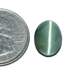 Cats Eye (Lehsunia) (7.90 Carat, 8.61 Ratti) - WorldOfOorja