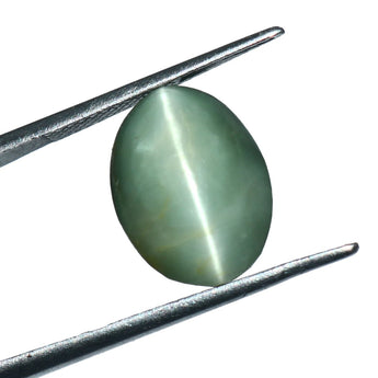Cats Eye (Lehsunia) (7.90 Carat, 8.61 Ratti) - WorldOfOorja