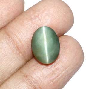 Cats Eye (Lehsunia) (7.90 Carat, 8.61 Ratti) - WorldOfOorja