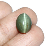 Cats Eye (Lehsunia) (8.18 Carat, 8.91 Ratti) - WorldOfOorja