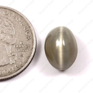Cats Eye (Lehsunia) (8.20 Carat, 8.99 Ratti) - WorldOfOorja