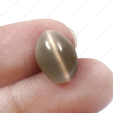 Cats Eye (Lehsunia) (8.20 Carat, 8.99 Ratti) - WorldOfOorja