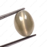 Cats Eye (Lehsunia) (8.20 Carat, 8.99 Ratti) - WorldOfOorja