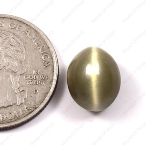 Cats Eye (Lehsunia) (8.25 Carat, 9.05 Ratti) - WorldOfOorja