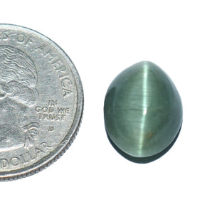 Cats Eye (Lehsunia) (8.80 Carat, 9.59 Ratti) - WorldOfOorja