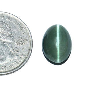 Cats Eye (Lehsunia) (8.82 Carat, 9.61 Ratti) - WorldOfOorja