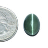 Cats Eye (Lehsunia) (8.82 Carat, 9.61 Ratti)