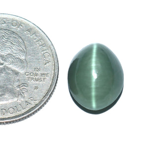 Cats Eye (Lehsunia) (9.36 Carat, 10.2 Ratti) - WorldOfOorja