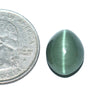 Cats Eye (Lehsunia) (9.36 Carat, 10.2 Ratti)