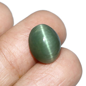 Cats Eye (Lehsunia) (9.36 Carat, 10.2 Ratti) - WorldOfOorja
