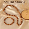 Divine Balance Rudraksha Set