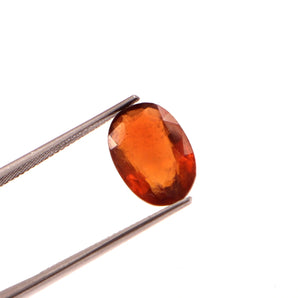 Gomed (Hessonite) (6.55 Carat, 7.18 Ratti) - WorldOfOorja