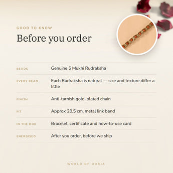 Gold Plated Rudraksha Bracelet – before you order: size, what is in the box, energised after order
