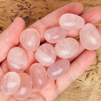 Polished Rose Quartz Tumble Stones