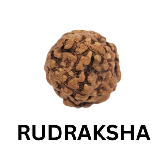 Rudraksha bead