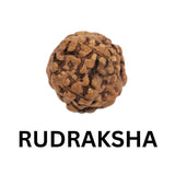 Rudraksha bead