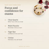 Exam Focus & Success Bracelet benefits – World of Oorja