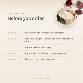 Dhan Yog Chips Bracelet – before you order: size, what is in the box, energised after order