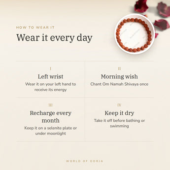 How to wear your Shiv Shakti 5 Mukhi Rudraksha Bracelet – left wrist, morning wish, recharge on selenite or moonlight