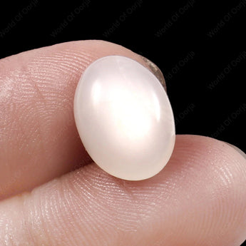 Moonstone (Chandrakant) (6.95 Carat, 7.62 Ratti) - WorldOfOorja