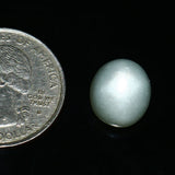 Moonstone (Chandrakant) (7.30 Carat, 8.01 Ratti) - WorldOfOorja