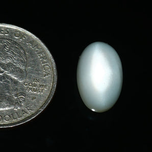 Moonstone (Chandrakant) (7.48 Carat, 8.20 Ratti) - WorldOfOorja