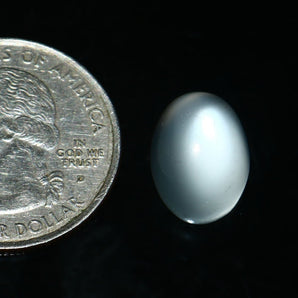 Moonstone (Chandrakant) (8.10 Carat, 8.88 Ratti) - WorldOfOorja