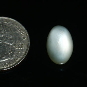 Moonstone (Chandrakant) (9.48 Carat, 10.40 Ratti) - WorldOfOorja