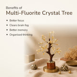 Benefits of Multi-Fluorite Crystal Tree – World of Oorja