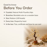 Multi-Fluorite Crystal Tree – good to know before you order