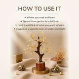 How to use your Multi-Fluorite Crystal Tree