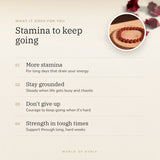 Red Jasper Bracelet benefits – World of Oorja