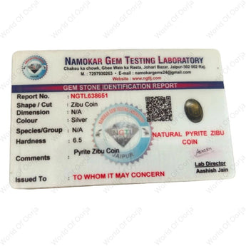 Pyrite Zibu Coin - WorldOfOorja