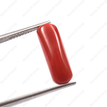 Red Coral (moonga) (5.96 Carat, 6.54 Ratti) - WorldOfOorja