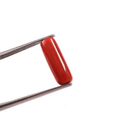 Red Coral (moonga) (7.25 Ratti, 6.65 Carat) - WorldOfOorja