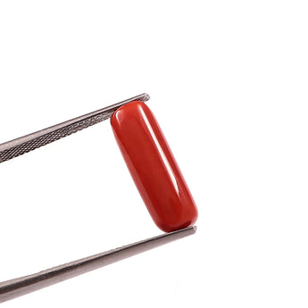 Red Coral (moonga) (7.25 Ratti, 6.65 Carat) - WorldOfOorja