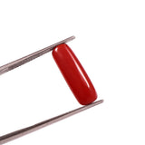 Red Coral (moonga) (7.25 Ratti, 6.66 Carat) - WorldOfOorja
