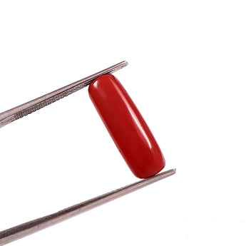 Red Coral (moonga) (7.25 Ratti, 6.66 Carat) - WorldOfOorja