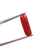 Red Coral (moonga) (7.5 Ratti, 6.88 Carat) - WorldOfOorja