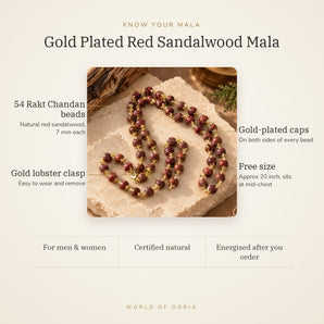 Know your Red Sandalwood Mala – 54 Rakt Chandan beads, gold-plated caps, lobster clasp, free size