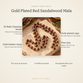 Know your Red Sandalwood Mala – 54 Rakt Chandan beads, gold-plated caps, lobster clasp, free size