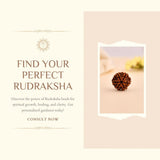 Rudraksha Consultation (10 - Minute Call) - WorldOfOorja