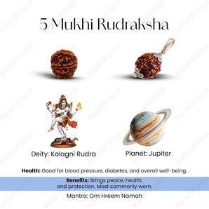 Shiv Shakti Rudraksha Set - WorldOfOorja