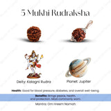 Shiv Shakti Rudraksha Set - WorldOfOorja