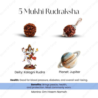 Shiv Shakti Rudraksha Set - WorldOfOorja