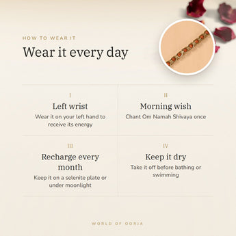 How to wear your Gold Plated Rudraksha Bracelet – left wrist, morning wish, recharge on selenite or moonlight