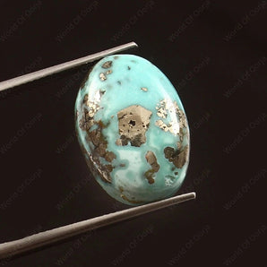 Turquoise (Firoza) (14.75 Carat, 16.07 Ratti) - WorldOfOorja