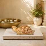 World of Oorja Vastu Citrine Tortoise Kachhua for wealth, prosperity and success