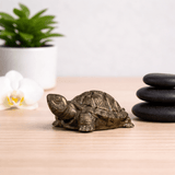 Vastu Pyrite Tortoise (Pack of 2) - WorldOfOorja