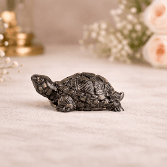 Vastu Pyrite Tortoise (Pack of 2) - WorldOfOorja